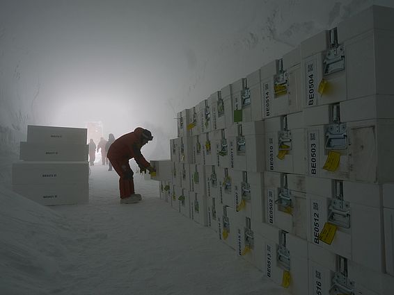 Die Hälfte der Eisbohrkerne vom Projekt "Beyond EPICA" werden hier in der Antarktis als Backup unterirdisch gelagert. Durch die konstant kalten Temperaturen von -50°C in dieser unterirdischen Schneehöhle braucht es keine elektrische Kühlung. (Foto: Matthias Jaggi / SLF)
