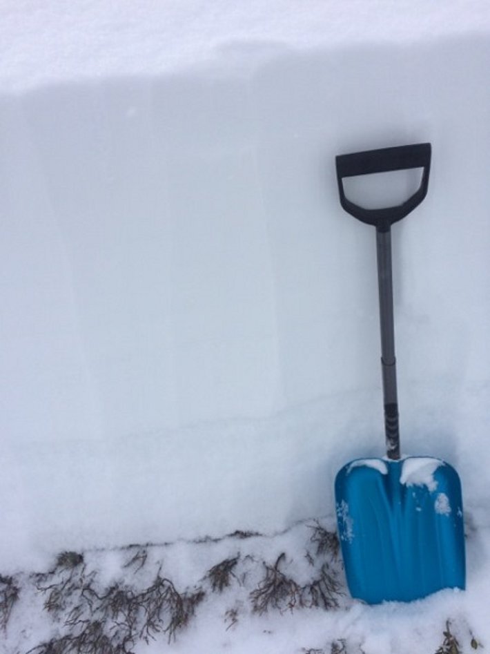 Ein Blick in die Schneedecke im Val d`Anniviers (auf 2240 m, VS), zeigte die stark aufgebaute, schwache Altschneeschicht vom Frühwinter und darüber die gebundenen, neueren Schneeschichten. Lawinen, die im Altschnee brechen, sind oft grösser als Lawinen die nur den Neu- und Triebschnee mitreissen (Foto: V. Bettler, 06.02.2017).
