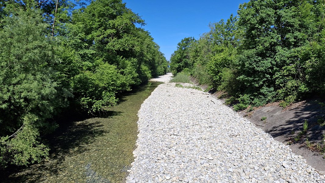 Flussbett mit klarem Wasser links und Kiesufer rechts, umgeben von dichtem grünem Laubwald unter blauem Himmel
