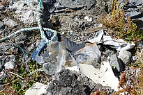 Photo 6: In some cases I found heavily degraded plastic material on beaches, which is ideal for my study. (Photo credit: Beat Frey)