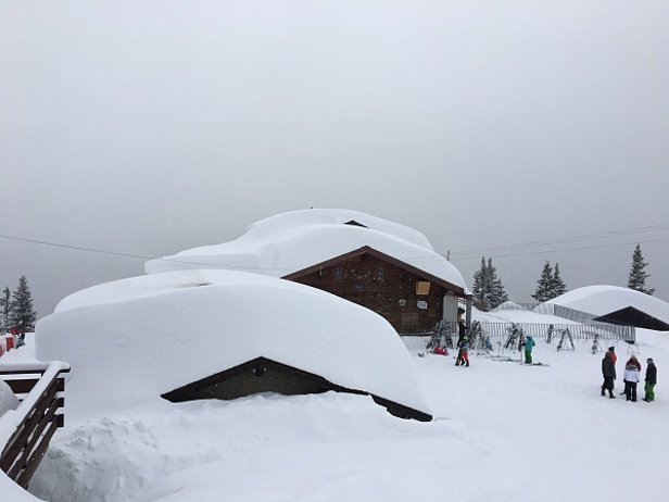 Photo 19: Beaucoup de neige dans l’ouest: Après les chutes de neige intenses des trois premières semaines de janvier, les hauteurs de neige dépassaient les données moyennes, tout particulièrement en Bas-Valais. Sur cette photo Les Marécottes au-dessus de Martigny (VS) à 1780 m (photo: J.L. Lugon, 14.02.2016).