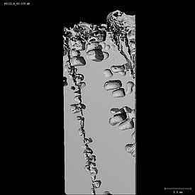 Micro-CT-Scan eines geschmolzenen Salzwasserkanals, der ein gutes Abfliessen von der Oberfläche ermöglicht. Foto: A. Macfarlane