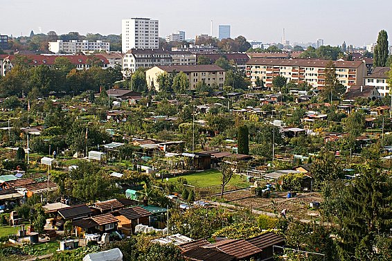 Les jardins familiaux diversifiés sont à la fois un habitat pour de nombreuses plantes et animaux et un espace de loisirs de proximité pour la population urbaine.