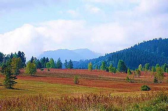 Hochmoorlandschaft Rothenthurm