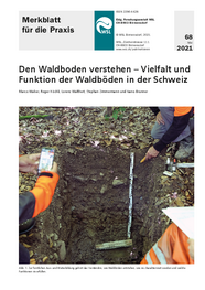 Den Waldboden verstehen