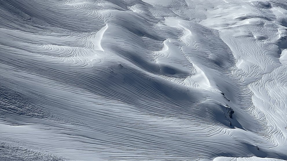 Un signe de vie de l’hiver