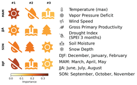 Four rows, each with three of the following coloured symbols: a sun, a raindrop with a line through it, water with an arrow pointing upwards, and a tree. Abbreviations for the months of each season are given on the left: DJF, MAM, JJA, SON. Below there is a colour scale from light yellow to dark brown labelled 'Variable Importance'.