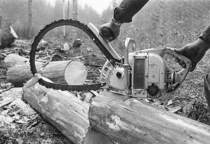 Eine Bügel-Motorsäge ist in der Mitte des Bildes platziert. Sie wird von zwei Händen gehalten, man sieht die dazugehörige Person allerdings nicht. In Hintergrund ist ein Wald zu sehen und ein Baumstamm, der in der Mitte zersägt wurde.