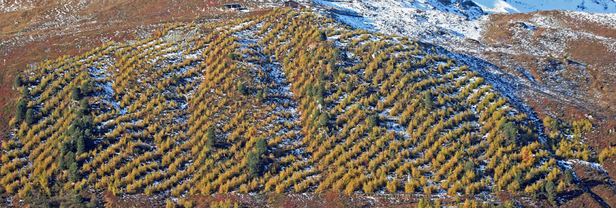 Versuchsfläche Stillberg. Bild: Marcel Giger, snow-world.ch