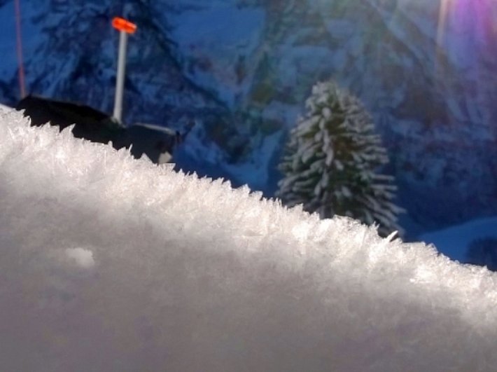 In vielen Gebieten der Schweiz bildete sich in der vergangenen Woche Oberflächenreif. Starke nächtliche Abstrahlung und schwacher Wind begünstigten die Reifbildung bis auf 2600 m hinauf, besonders an Schattenhängen (Foto: S. Gygli, 20.01.2017).