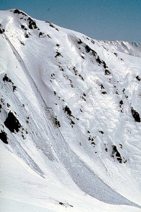 Avalanche de neige meuble. Image: archive SLF 