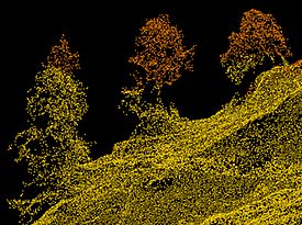 Einzelbäume als Punktwolke aufgenommen mit der SLF-Drohne. Einzelbäume implementiert in RAMMS::Rockfall ermöglichen eine verbesserte Modellierung der Stein-Baum Interaktionen. 