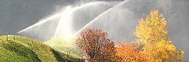 Eine Bergwiese wird bewässert. Am Rand der Wiese stehen Bäume, deren Laub schon Herbstfärbung zeigt.
