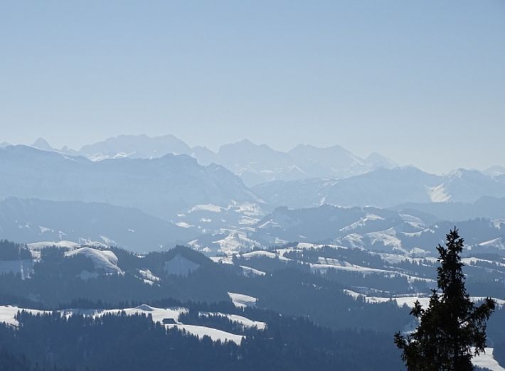 Der Blick vom Napf (1406 m, Trub, BE) auf das Berner Oberland. Am Horizont das Doldenhorn (3638 m, Bildmitte), rechts daneben das Balmhorn (3699 m) sowie links noch die Blümlisalp mit dem Blümlisalphorn (3661 m; Foto: SLF/ E.Hafner, 15.02.2017).