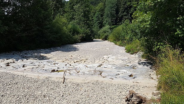 Vue d'un lit de rivière asséché, avec des rochers et des galets, entouré de végétation dense. Des arbres se dressent sur les côtés, indiquant un environnement naturel. C'est la Töss.