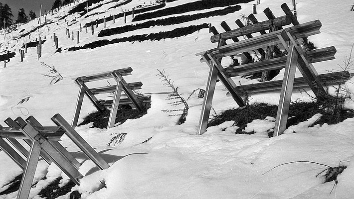 Schwarz-weiße Aufnahme von mehreren Holzgerüsten auf schneebedecktem Hang mit Terrassen im Hintergrund