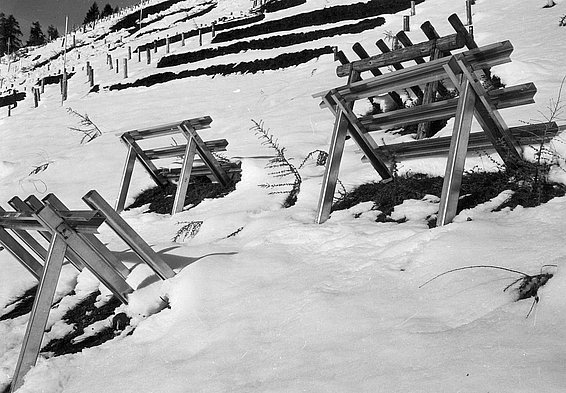 Black-and-white photo of several wooden frames on a snow-covered slope with terraces in the background