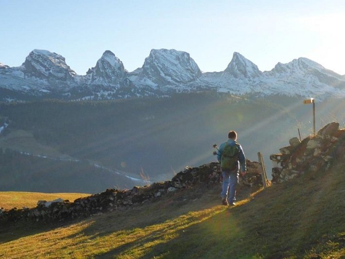 Blick von Burst (1200 m, Alt St. Johann, SG) auf die schneebedeckte Churfirstenkette (ca. 2200 m), die über dem grünen Tal thront (Foto: P. Diener, 01.01.2017).