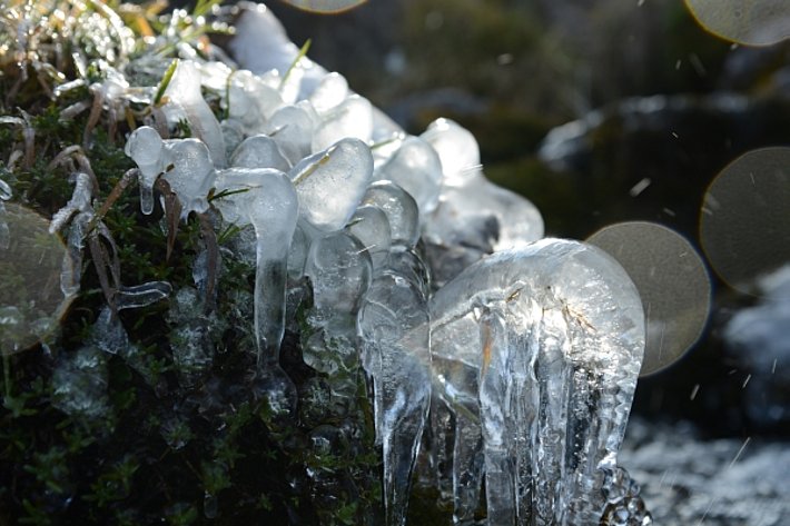 Herbstliche Stimmung am Oberalpbach (Foto: SLF/M. Phillips, 23.10.2016).