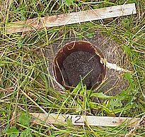 Ansicht in die Halteröhre nach Entfernen des Trichters. Der Trichterrand liegt im aktivierten Zustand eben auf der Oberkante der Halteröhre auf.