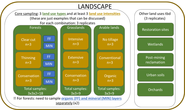 Schematic of the sampling strategy.
