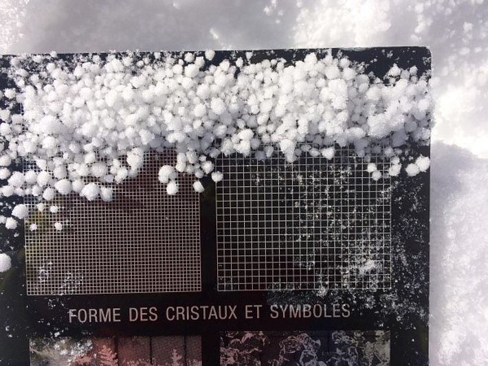 Ce grésil lors des orages des jours précédentes a été trouvé dans un profil de neige au Sex Mort (à 2895 m, Randogne, VS; photo: V. Bettler, 10.04.2017).