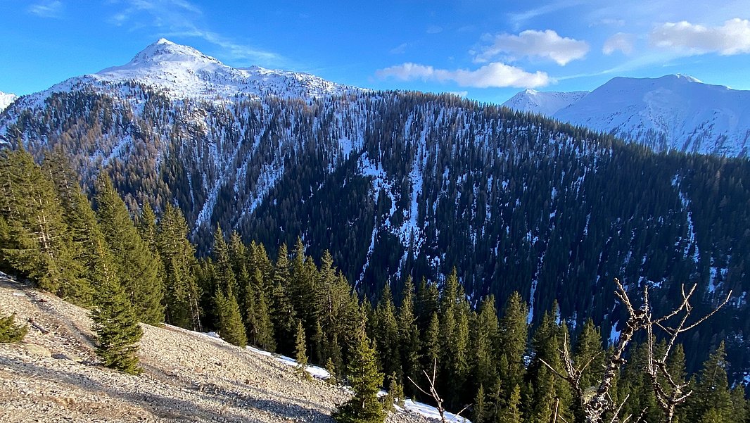 Blick auf eine gebirgige Landschaft mit schneebedeckten Gipfeln im Hintergrund und dichten Nadelwäldern im Vordergrund. Der Himmel ist klar mit einigen Wolken, und die Sonne beleuchtet die Szene.