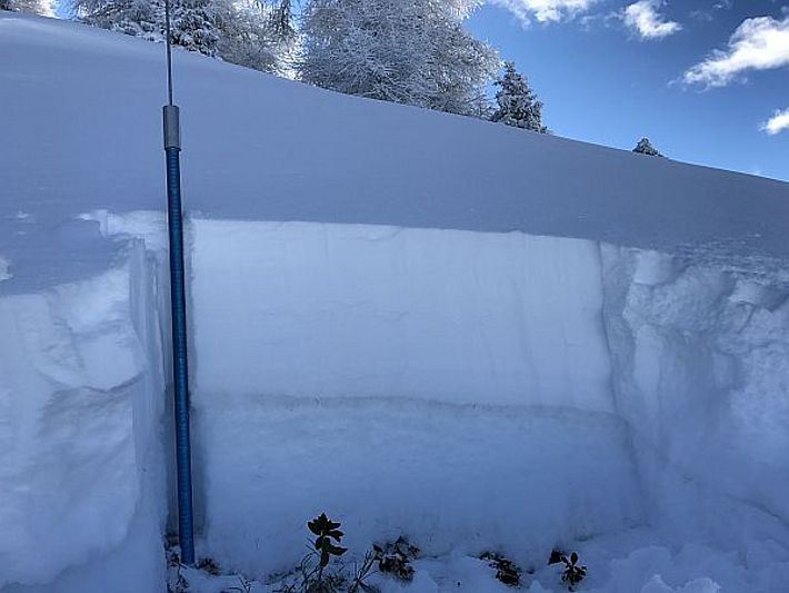 Abb. 1: Ungünstige Schneedecke im zentralen Wallis (Nordwesthang auf 2200 m oberhalb von St. Martin im Val d'Hérens). Dieses Bild sagt mehr als tausend Worte: 40 cm Neu- und Triebschnee überlagern eine Altschneedecke mit einer Kruste und grossen Becherkristallen (siehe Schneeprofil). In den Regionen mit einem solchen Schneedeckenaufbau ist derzeit grosse Vorsicht geboten (Foto: P. Gaspoz, 15.01.2017).