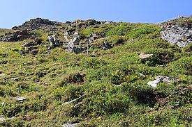 Berghang
