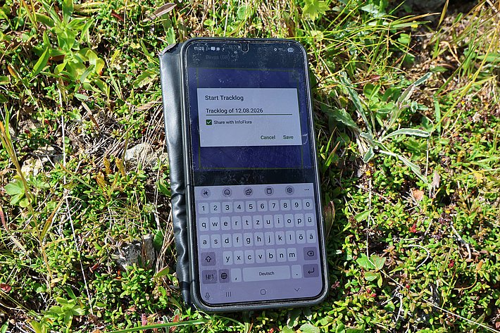 Smartphone im Gras, die Tastatur ist aufgerufen