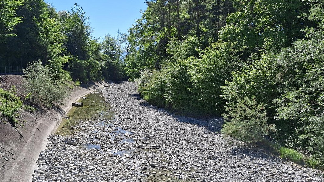 Ausgetrockneter Flusslauf mit steinigem Boden und bewaldeten Ufern unter blauem Himmel
