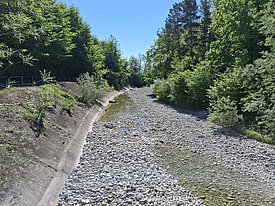 Ausgetrockneter Flusslauf mit steinigem Boden und bewaldeten Ufern unter blauem Himmel