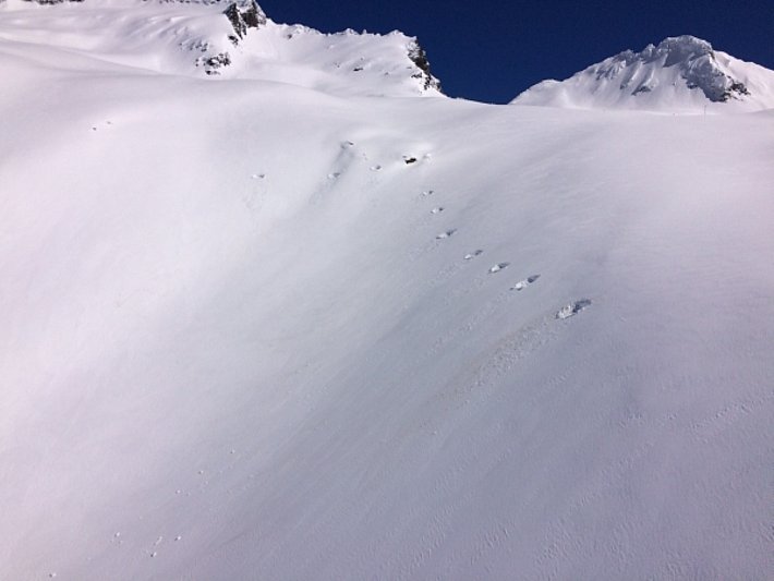 Negativer Sprengerfolg, wie hier unterhalb des Bortelsees (2463 m, Ried-Brig, VS) war ein gutes Indiz für den raschen Rückgang der Lawinengefahr (Foto: S. Zenklusen, 28.03.2017).
