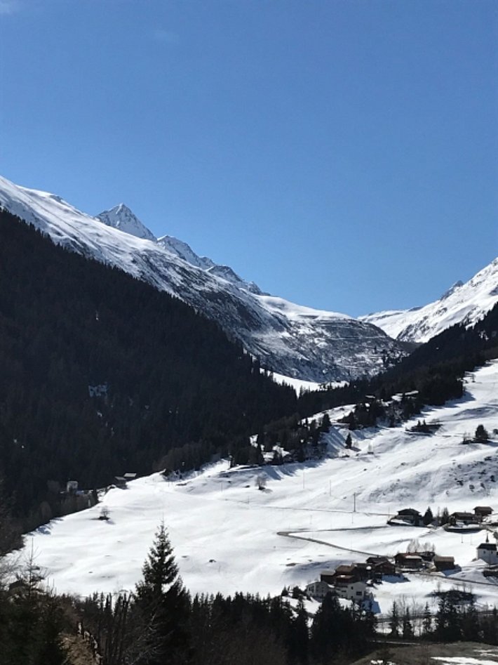 Diese Lawine ging am Montag, 20.03. im Val Nalps (Tujetsch, GR) an einem Nordwesthang spontan ab. Sie reichte bis in den Rein da Nalps hinab (Foto: N. Levy).