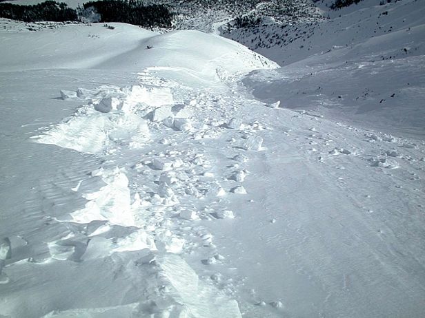 Abb. 3: Durch Personen fernausgelöste Lawine im Amtmanntobel/Davos-Wolfgang am 27.2.2001. Diese Lawine war eine von mehreren, die durch Personen im Parsenngebiet ausgelöst wurden. Die Anrissmächtigkeit betrug 70 bis 200 cm. Die Lawine war 200 m breit und 800 m lang. Die Auslösung war wegen der hohen Festigkeit des Schnees unerwartet. Die Gleitfläche war sehr hart. Es kam niemand zu Schaden (Foto: SLF / T. Wiesinger).