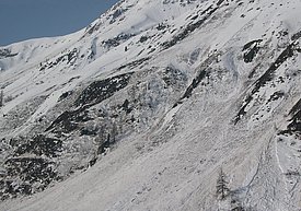 Valanga bagnata, Gotschnawang (GR). Foto: Benjamin Zweifel, SLF.