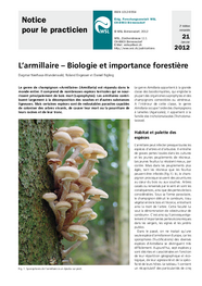 L’armillaire – Biologie et importance forestière