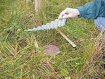 Grössenvergleich: Trichterdurchmesser ist 15 cm. Entfernen des Daches vor dem Leeren der Falle.