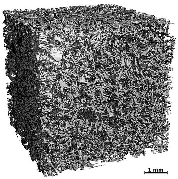 Neuschnee/Filz (CT-Scan)