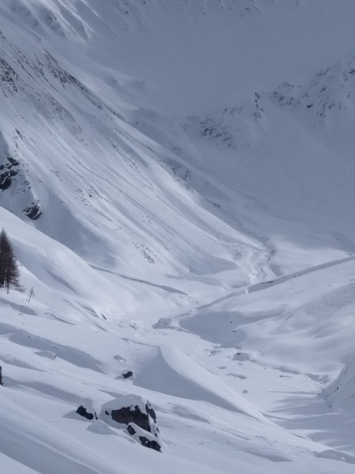 Ein Blick ins Val Trupchun (S-chanf, GR) zeigte noch sehr winterliche Verhältnisse am Beginn dieser Berichtsperiode. Im Bild ersichtlich sind Lawinenablagerungen im Gebiet um die Alp Trupchun. Die Lawinen sind in sehr steilem südwest exponiertem Gelände spontan angerissen (Foto: D. Godly, 17.02.2017).