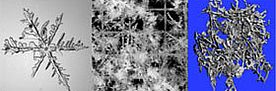 Ganz links ein einzelner, verzweigter Schneestern, der unter einem Mikroskop fotografiert wurde. Das Bild in der Mitte zeigt ein Messraster auf dem mehrere Neuschneekristalle liegen. Ganz rechts eine dreidimensionale, stark vergrösserte Darstellung von Neuschnee, der in einem Computertomographen gescannt wurde.