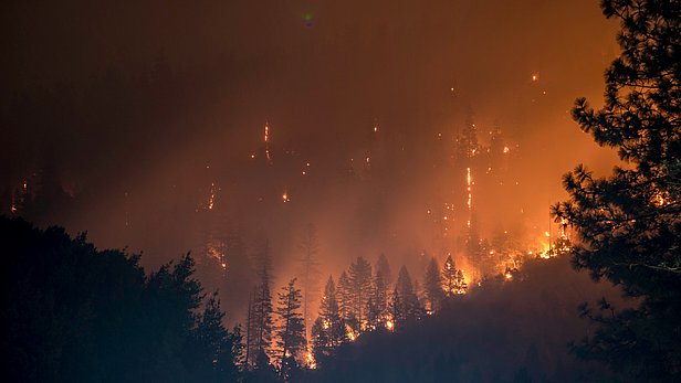 A forest on fire in mountainous terrain at night