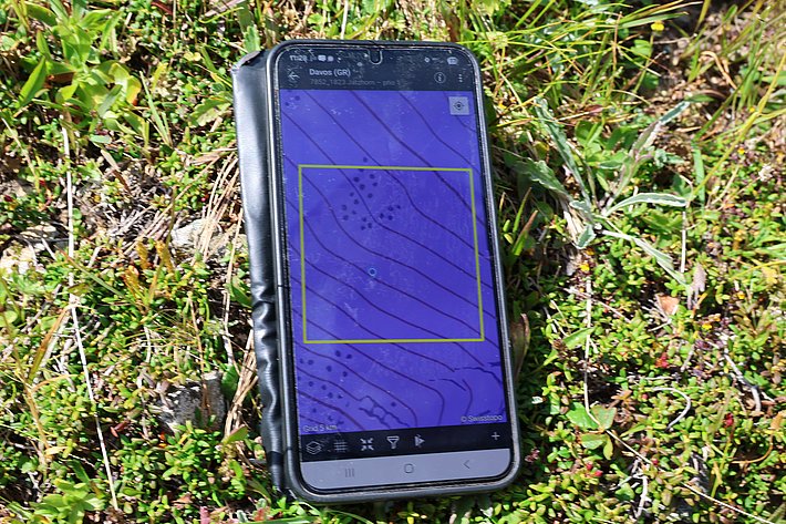 Smartphone im Gras
