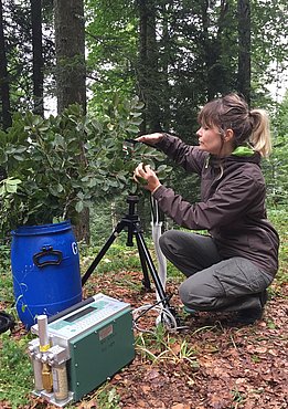 L'appareil mesure les échanges gazeux de la feuille, c'est-à-dire le dioxyde de carbone qu'elle absorbe et la vapeur d'eau qu'elle rejette. Photo : Margaux Didion-Gency