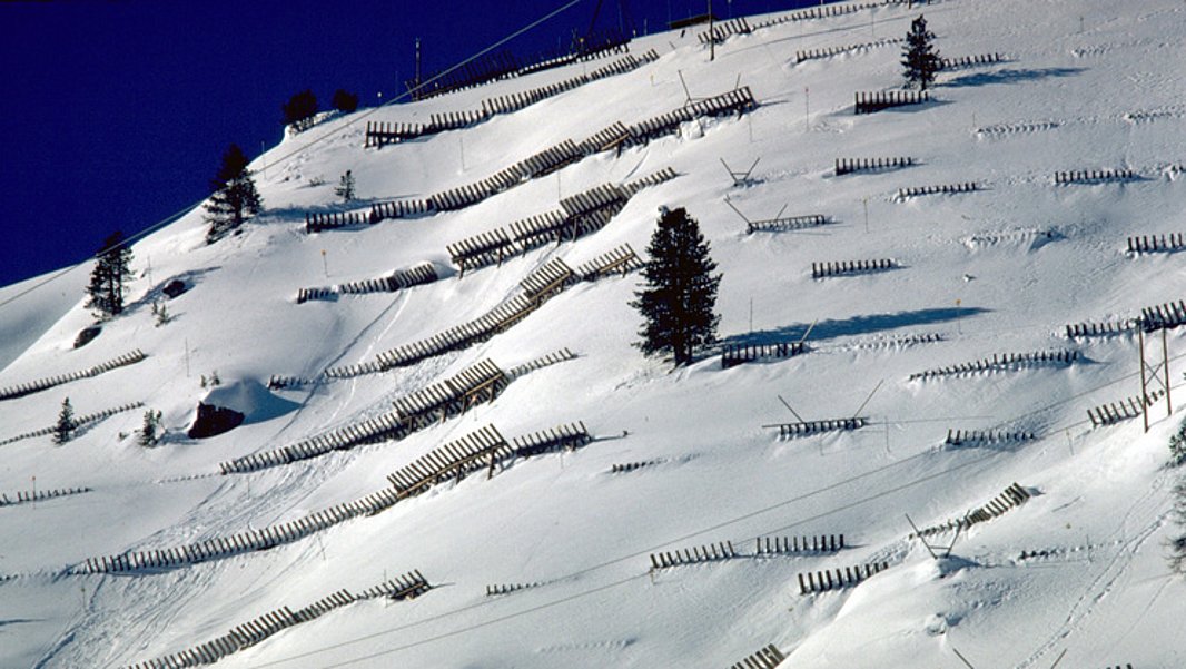 Schneebedeckter Berghang mit mehreren Reihen von Lawinenschutzgittern und vereinzelten Nadelbäumen