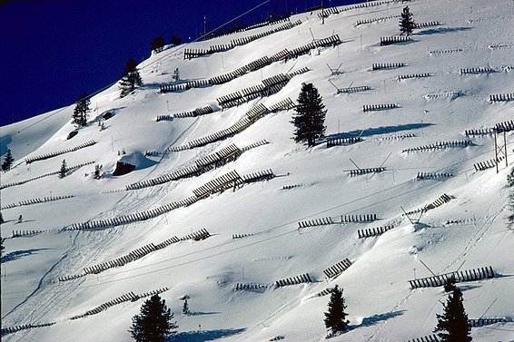 Schneebedeckter Berghang mit mehreren Reihen von Lawinenschutzgittern und vereinzelten Nadelbäumen