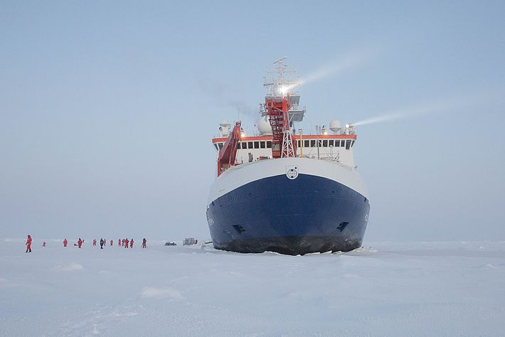 Im Meereis eingefroren (AWI / Sebastian Grote, CC-BY 4.0) 