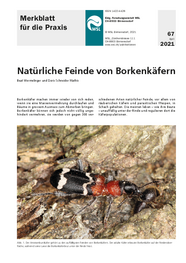 Natürliche Feinde von Borkenkäfern