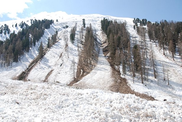 Abb. 25: Grosse Nassschneelawine, abgegangen an einem Ostnordosthang auf rund 2200 m am Chüeberg bei Davos Monstein, GR. Da sich zum Zeitpunkt des Abganges Personen in der Nähe befanden, wurde der Lawinenkegel mit Hunden abgesucht. Es entstand Wald- und Flurschaden (Foto: SLF/M. Gerber, 14.04.2009).