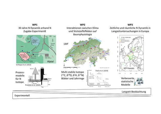 Graphische Zusammenfassung